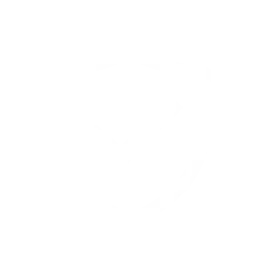 6-Months Extended Warranty